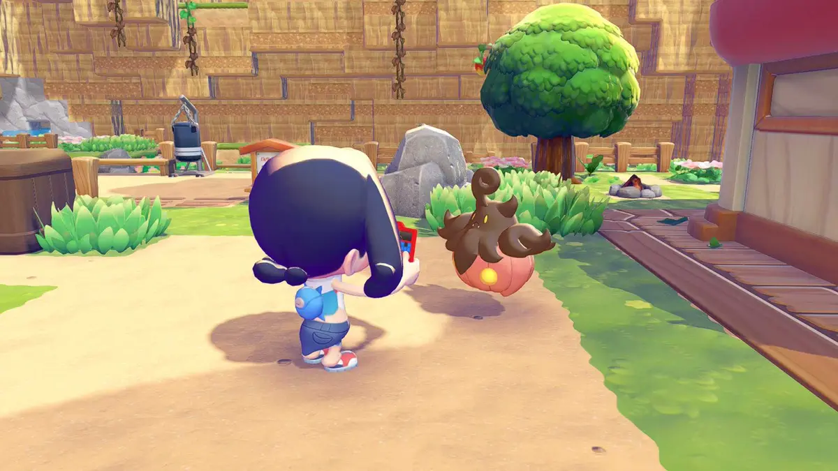 pumpkaboo enters pokopia