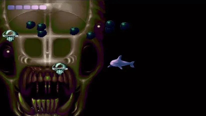 Vortex queen ecco the dolphin