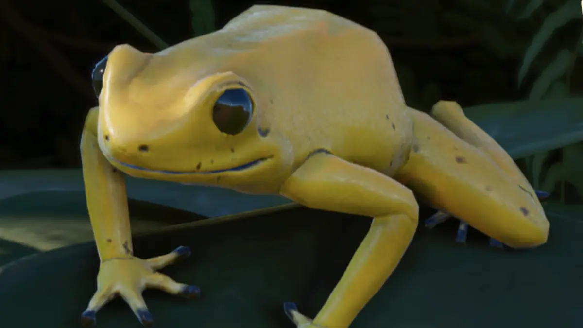 golden pooison frog planet zoo 2