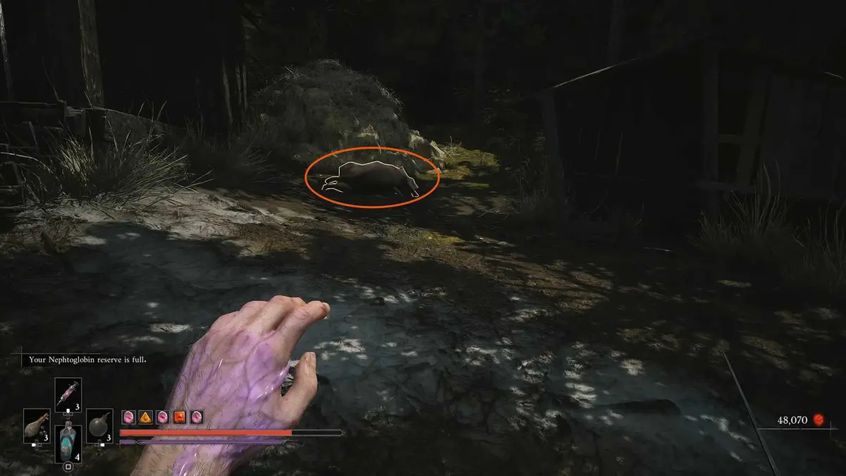 The Curious Case of Seamus Diggory Quest 10 in valor mortis