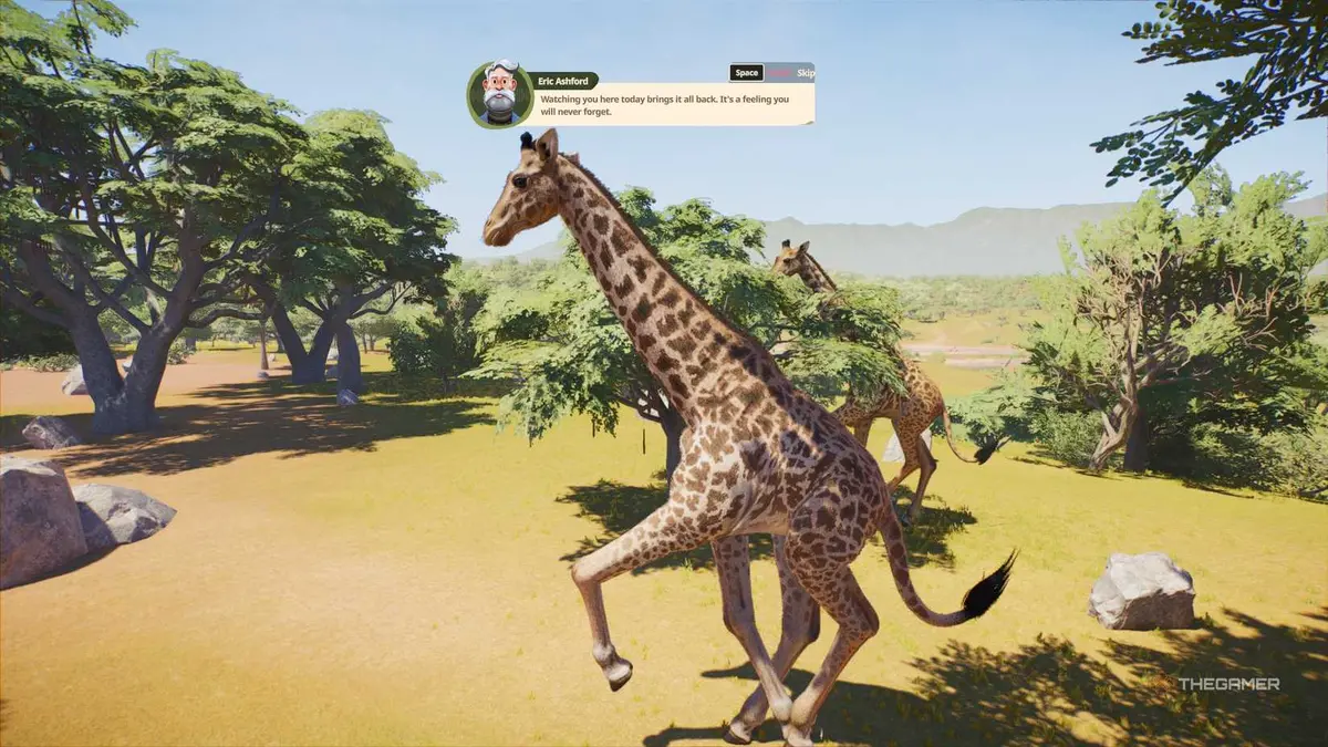 Giraffe walking in Planet Zoo 2.