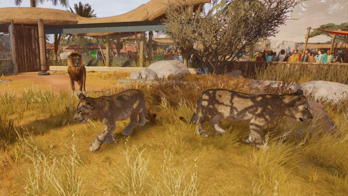 lions planet zoo 2