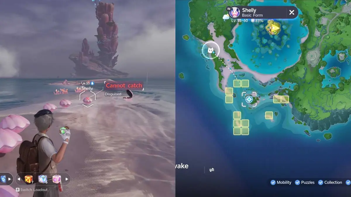 Shelly Location Aniimo
