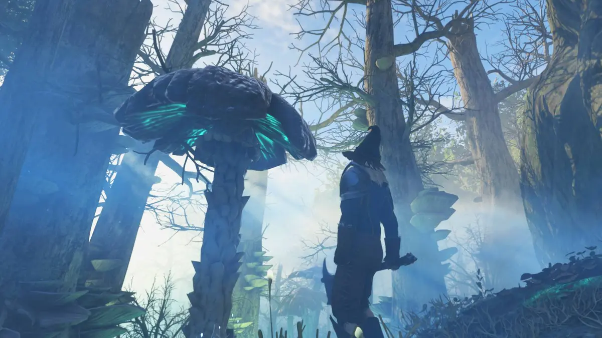 A player looks at a shroud mushroom in Enshrouded.