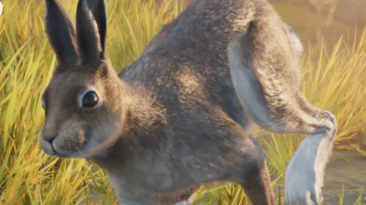 hare planet zoo 2