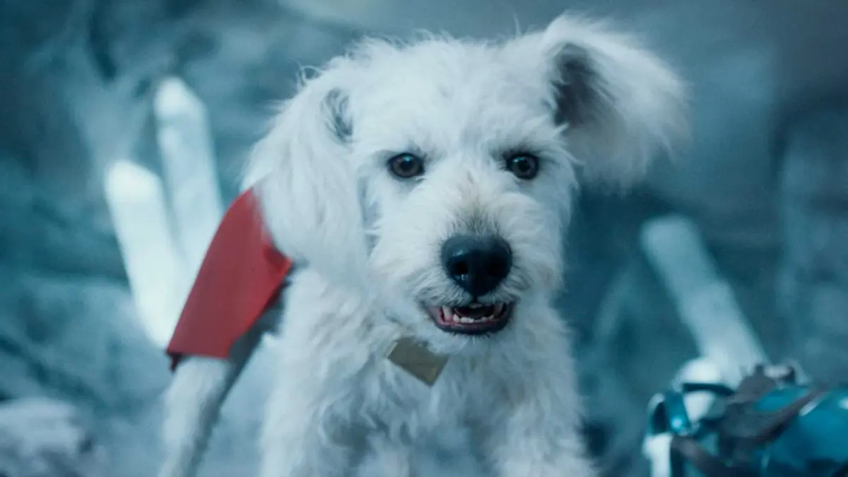 Krypto looking off-screen in the Fortress of Solitude in Superman